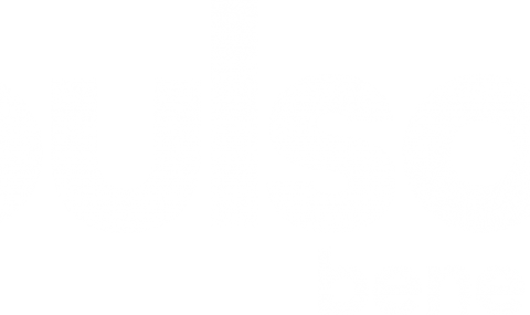 Logo Pulso Benelux