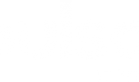 Logo Pulso France